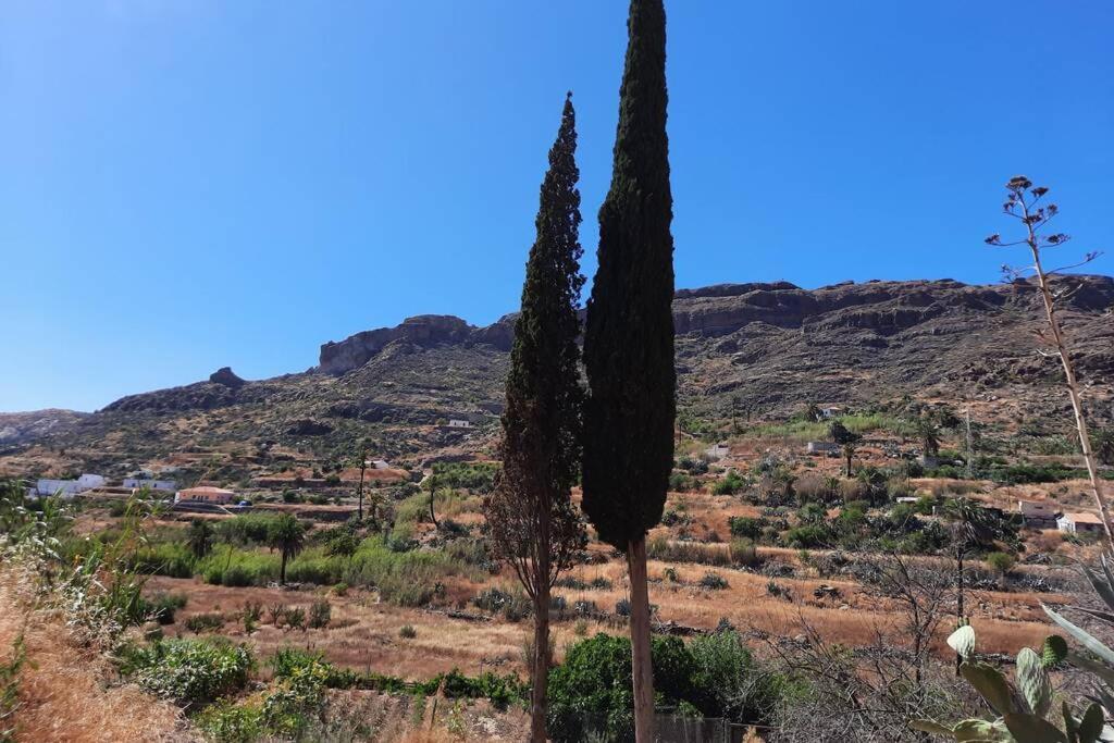 Casa Rural Los Cipreses. Cercados De Arana San Bartolomé Esterno foto